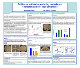 Soil-borne antibiotic-producing bacteria and characterization of their