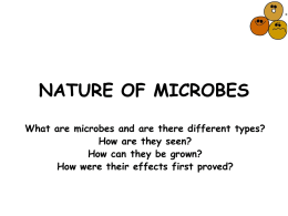 NATURE OF MICROBES