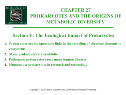 Organismal Biology/27E-ProkryEcologicalImpact