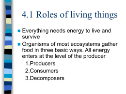 4.1 Roles of living things