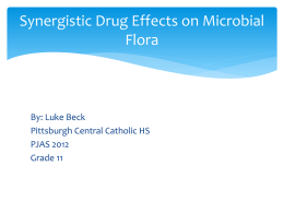 Synergistic Drug Effects on Microbial Flora