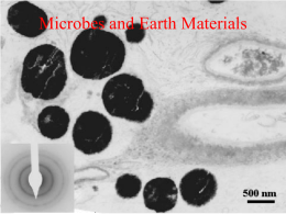 Microbes and minerals2