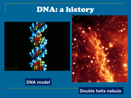 DNA Lecture #1: DNA Structure and Proof That DNA Controls Traits