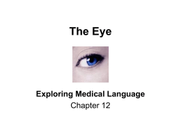 The Eye - TeacherWeb
