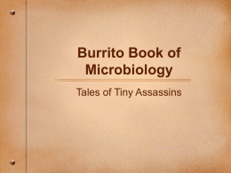 Tiny Assassins - Alex LeMay – Science