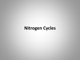 Nitrogen Cycles - Home - KSU Faculty Member websites