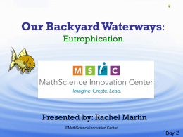 Our Backyard Waterways: Eutrophication