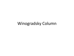 Winograwdsky Column
