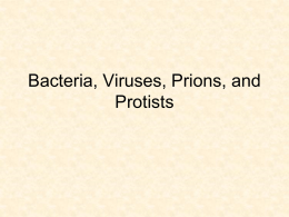 Bacteria, Viruses, Protists, and Prions