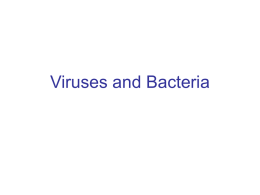 Viruses and Bacteria - (www.ramsey.k12.nj.us).