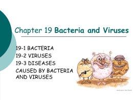 Bacteria and Viruses - Crestwood Local Schools
