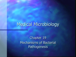 Mechanisms of Bacterial Pathogenesis