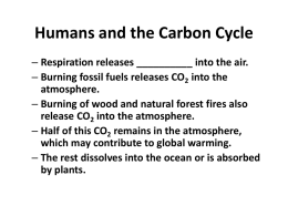Humans and the Carbon Cycle
