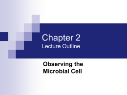 Microbiology_Ch_02_W2010 - Cal State LA