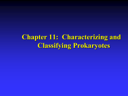 Chapter 11: Characterizing and Classifying Prokaryotes