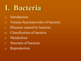 I. Bacteria