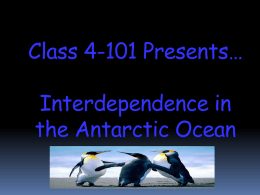 bYTEBoss who_wants_to_be_a_millionaire_antarctic_ocean-2