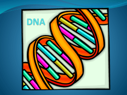 DNA PowerPoint