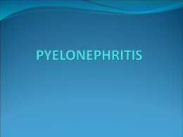 Pyelonephritis File