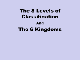 8 Levels of Classification and 6 Kingdoms PowerPoint