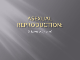 2.6 Asexual reproduction_McC