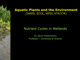 Wetland Ecosystem Management - Nutrient