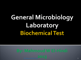 Biochemical Test By: Mahmoud W El