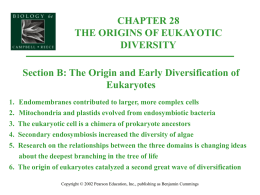 Organismal Biology/28B-OriginAndEarlyDivrsity