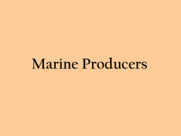 Marine Producers