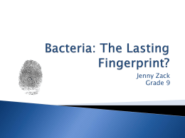 Bacteria: The Lasting Fingerprint?