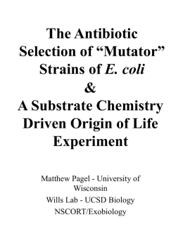 A Substrate Chemistry Driven Origin of Life Experiment