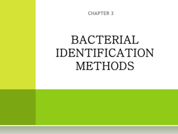 bacterial identification methods