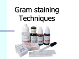 Gram Staining Lab