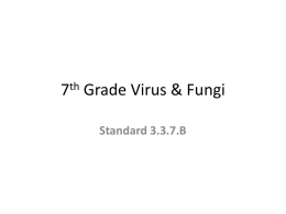 7th Grade Virus & Fungi