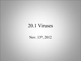 20.1 viruses - OG