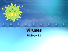 Viruses - HRSBSTAFF Home Page