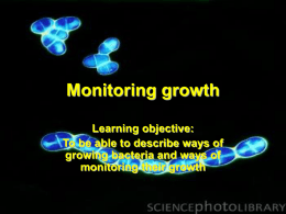 monitoring_growth