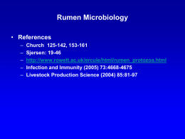 Rumen Microbiology - Iowa State University: Animal Science