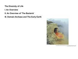 III. Domain Archaea and The Early Earth