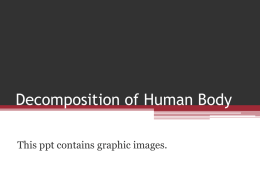 Decomposition of Human Body