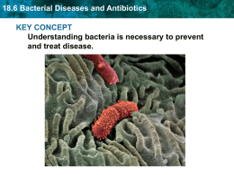 18.6 Bacterial Diseases and Antibiotics