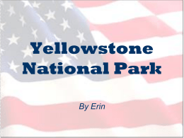 Yellowstone National Park - Marshfield Primary School