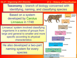 Classification - Cobb Learning
