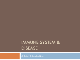Immune System & Disease