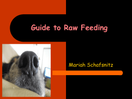 Guide to Raw Feeding