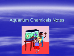 Aquarium Chemicals Notes