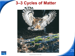 3–3 Cycles of Matter