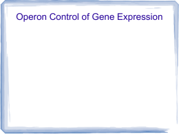 Operon Control of Gene Expression - Glebe
