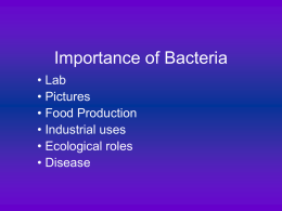 Importance of Bacteria - ScienceCo