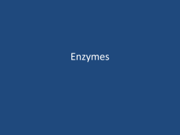 Enzymes - CynthiaJankowski